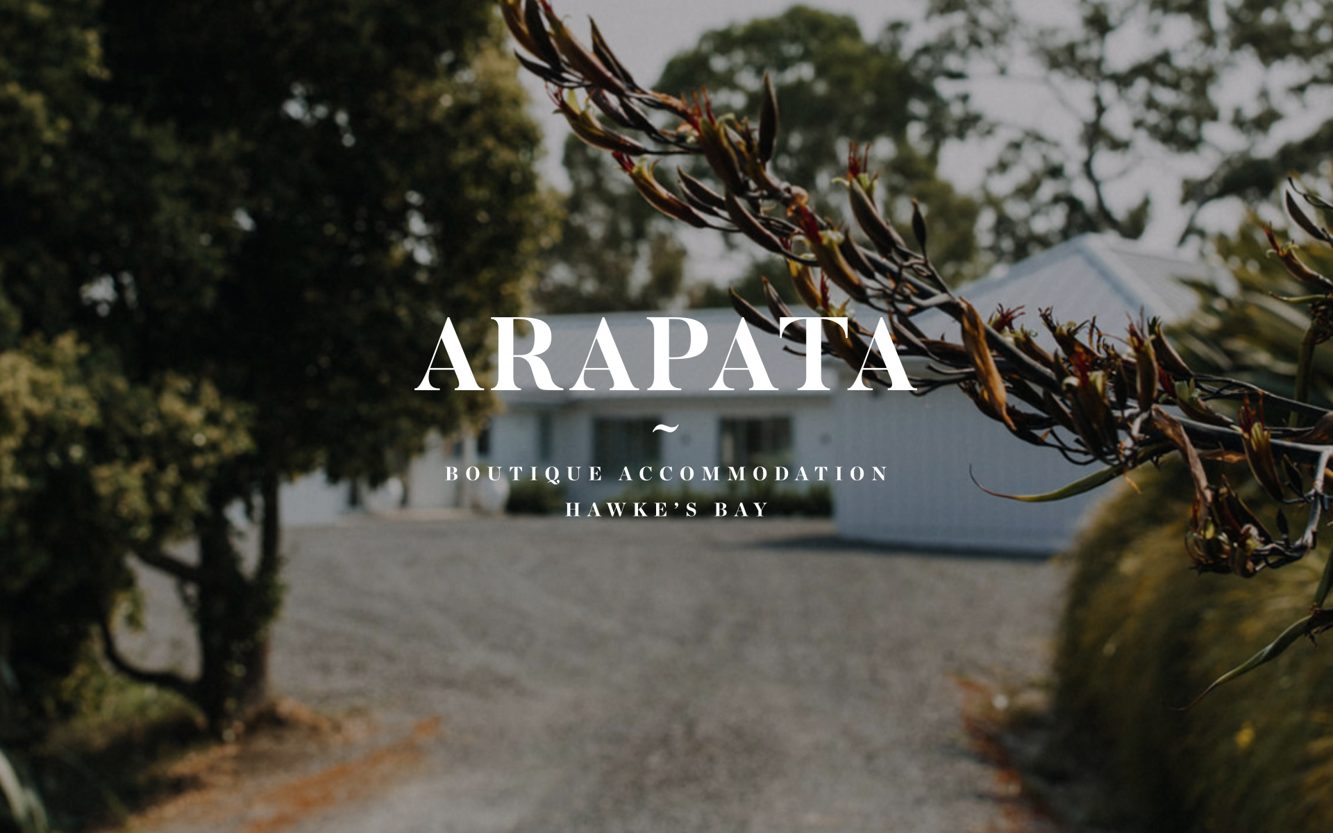 Arapata Brand Design.