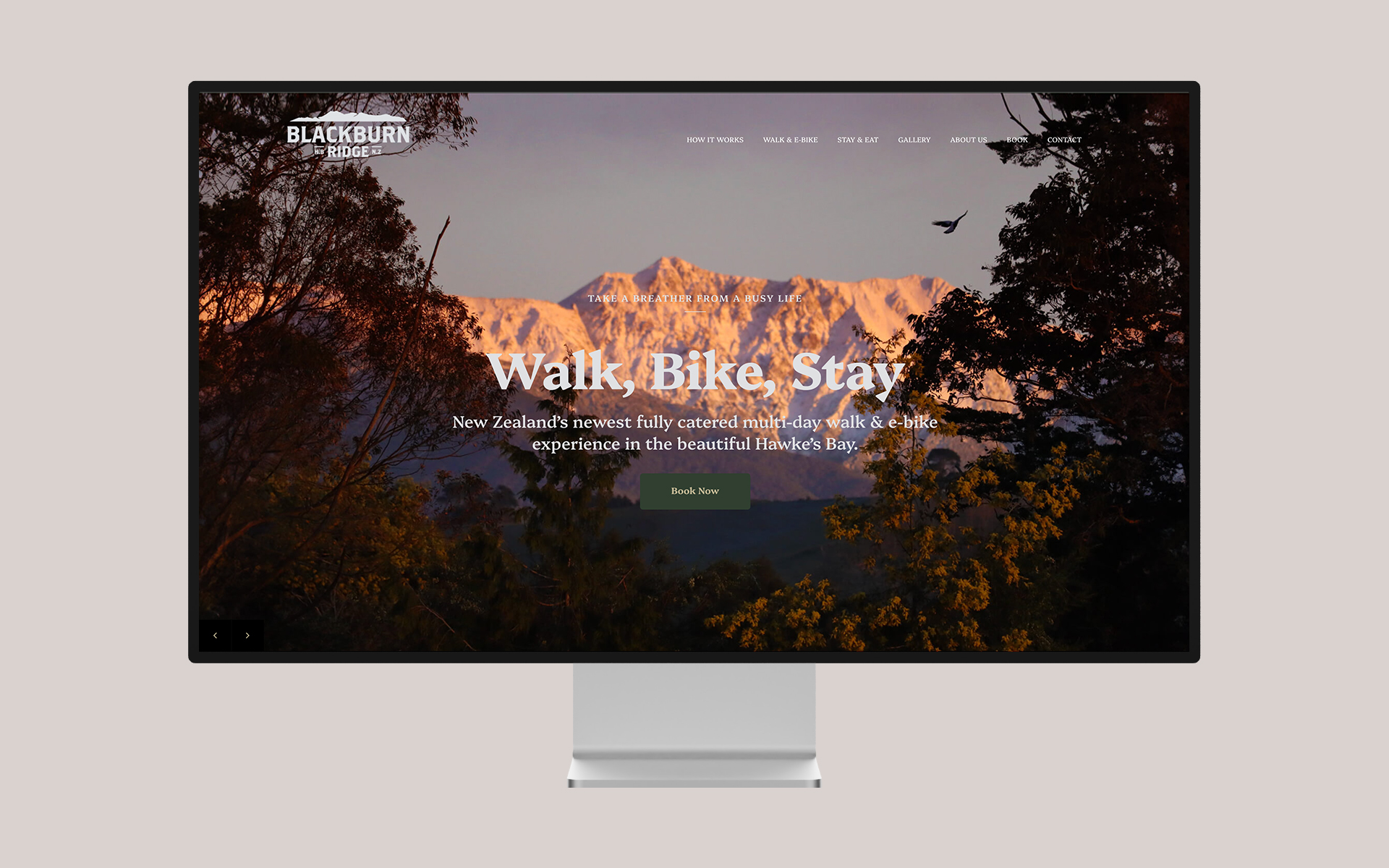 Blackburn Ridge Brand Design.