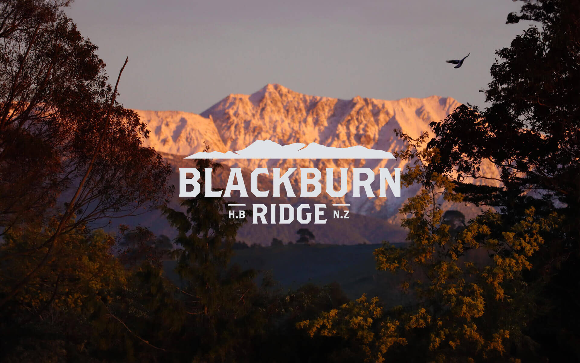 Blackburn Ridge Brand Design.