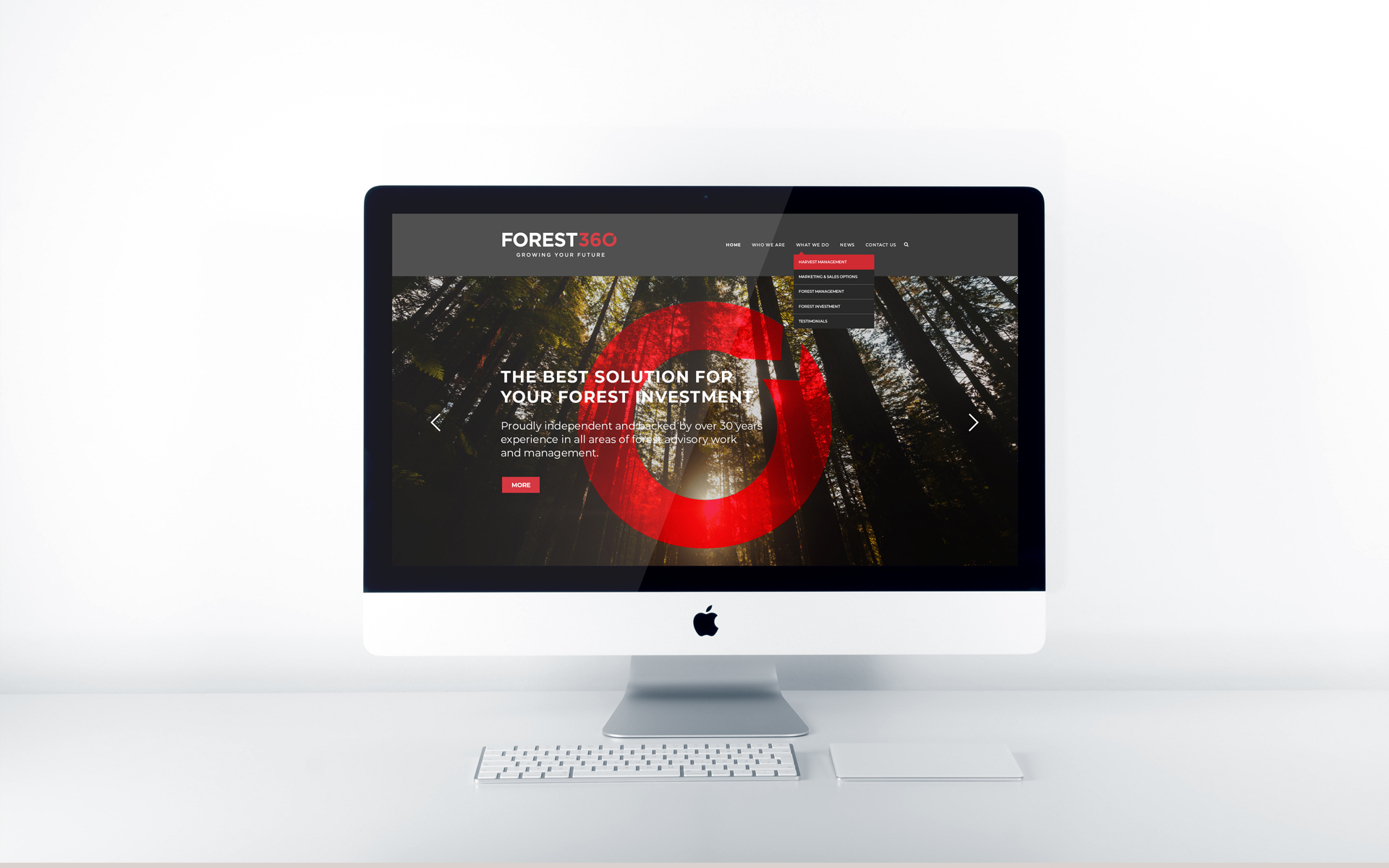 Forest 360 Brand.