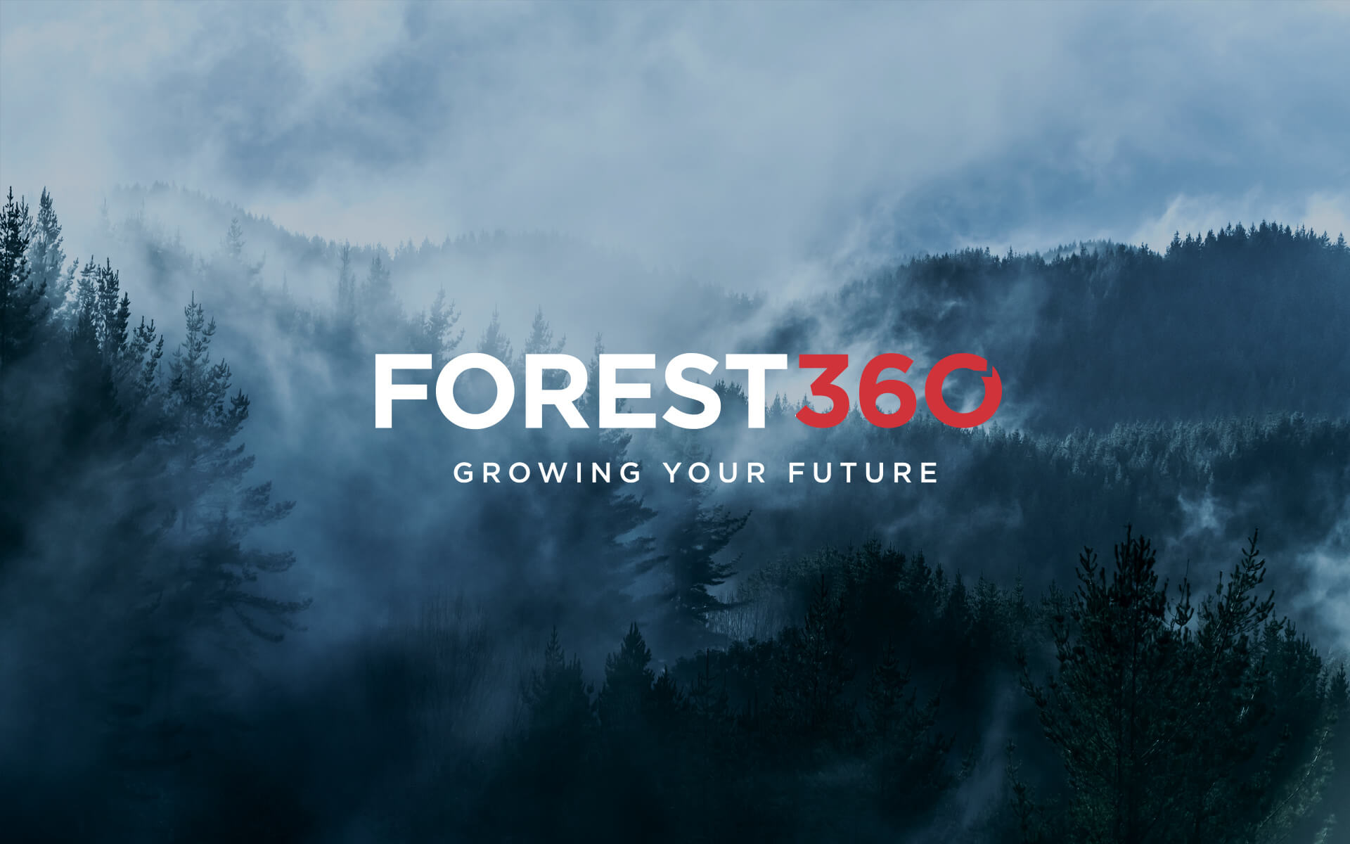 Forest 360 Brand.