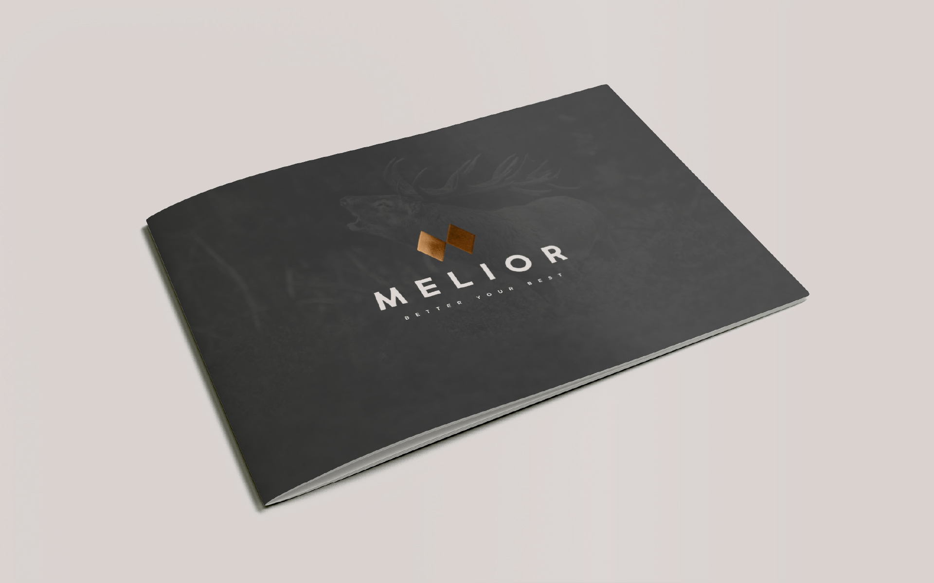 Melior Brand Design.