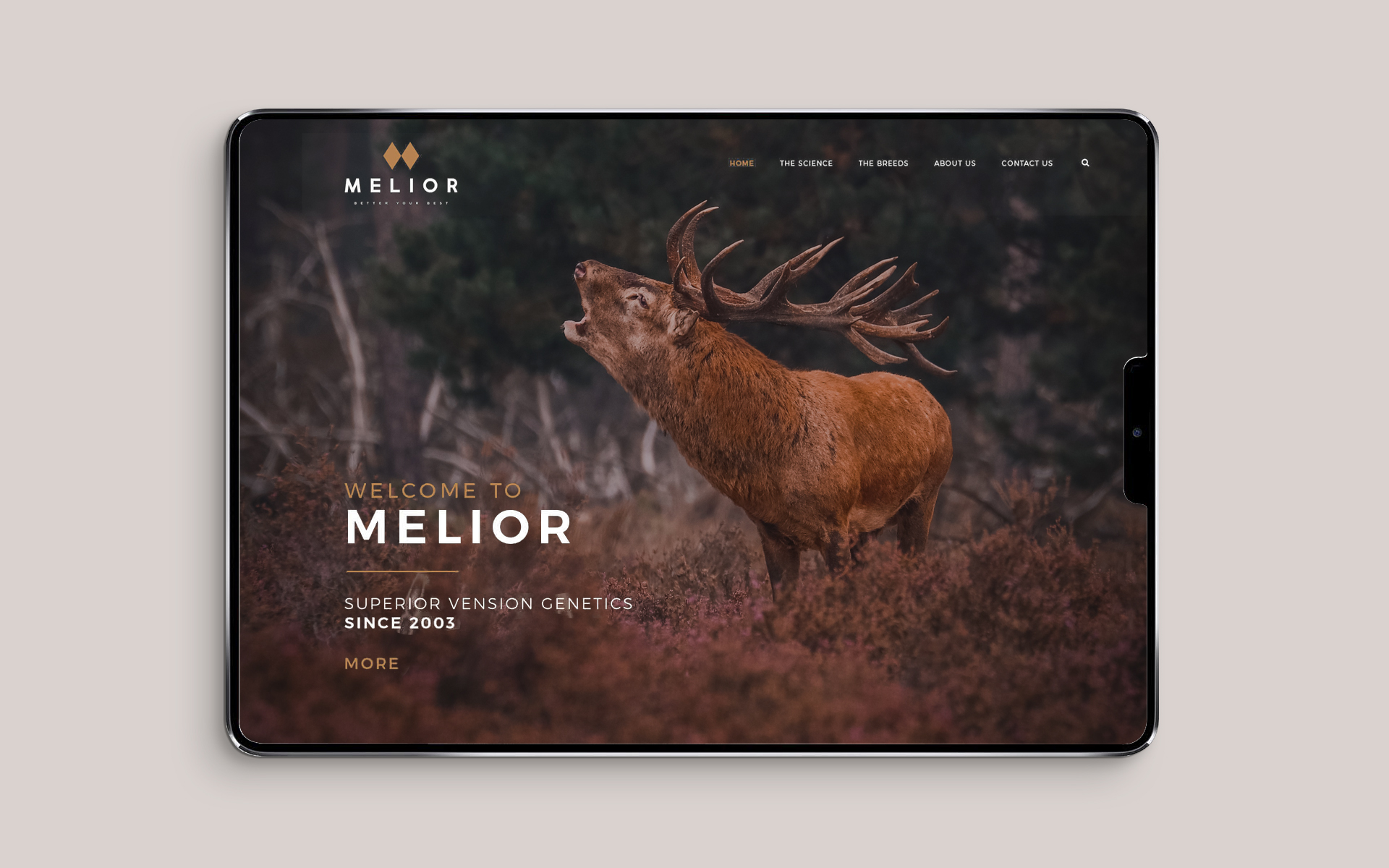 Melior Brand Design.