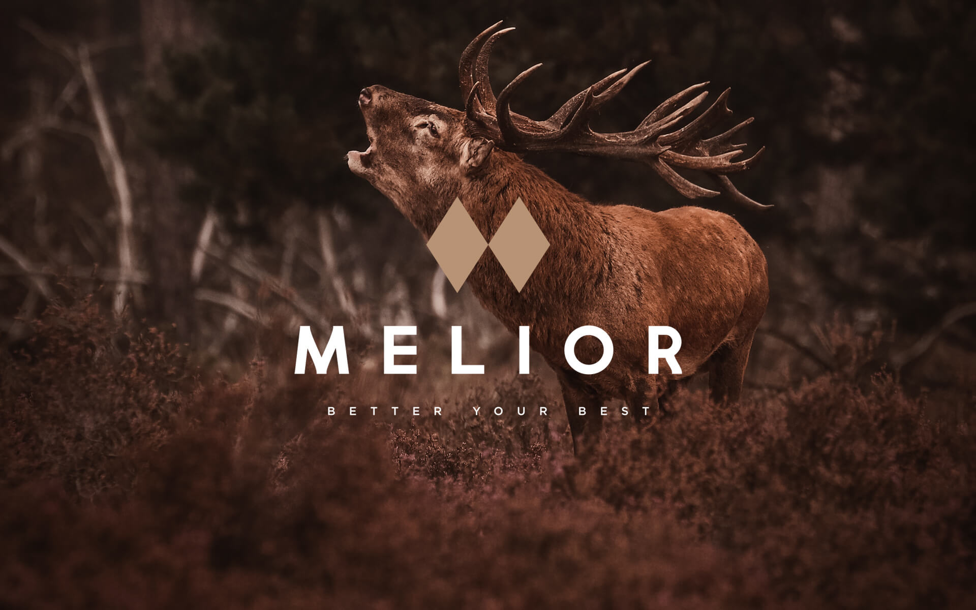 Melior Brand Design.