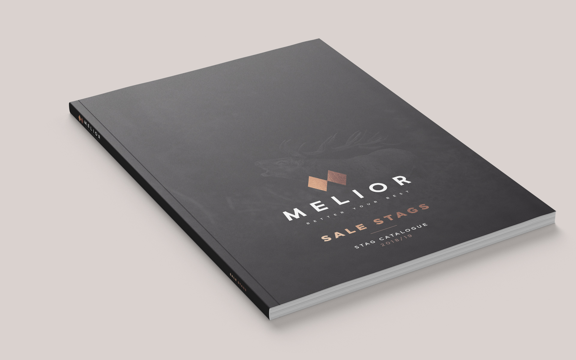 Melior Brand Design.