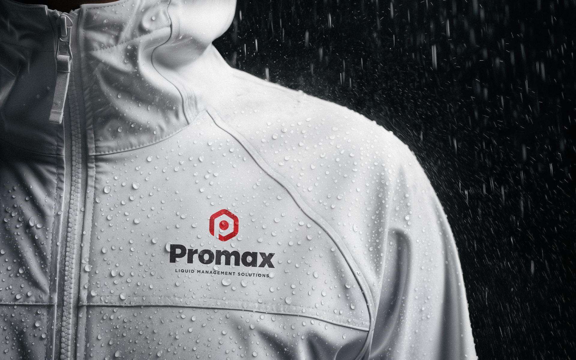 Promax Brand Design.